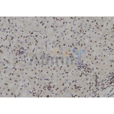 Валидация Affinity DF7350 - 19060