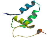 Protein Phosphatase 2, Regulatory Subunit B"" Gamma (PPP2R3C)