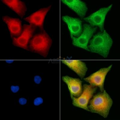 Валидация Affinity DF13852 - 9561