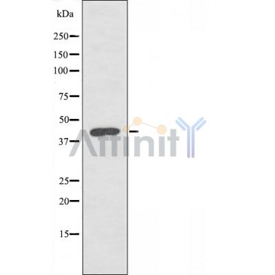 Валидация Affinity AF5214 - 2677
