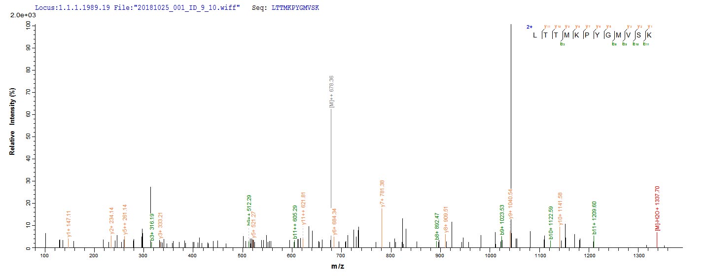 LC-MS/MS