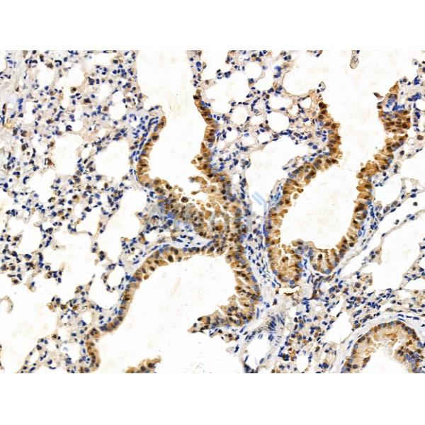 Валидация Affinity DF13425 - 8734