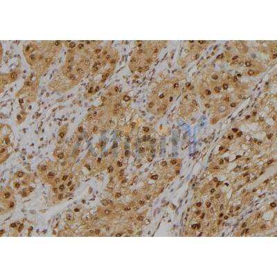 Валидация Affinity DF6700 - 18207