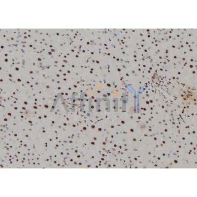 Валидация Affinity DF7260 - 18923