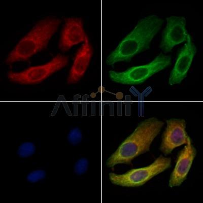 Валидация Affinity DF6763 - 18329