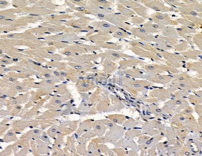 Валидация Affinity DF15947 - 12463