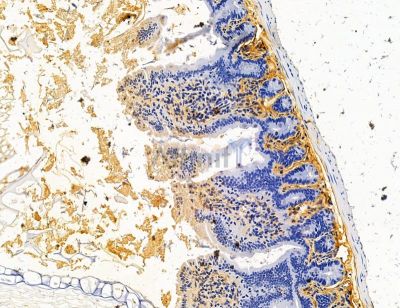 Валидация Affinity DF14694 - 10750