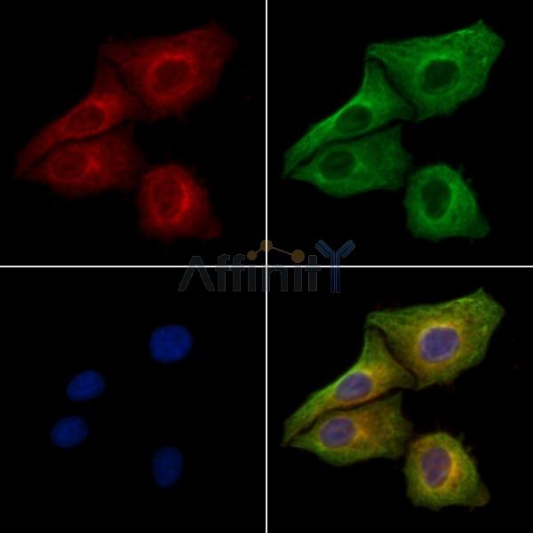 Валидация Affinity DF10184 - 5732