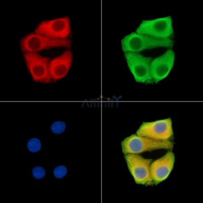 Валидация Affinity DF15289 - 11584