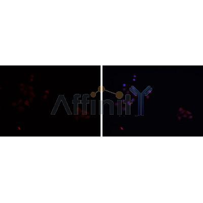 Валидация Affinity DF6479 - 17874