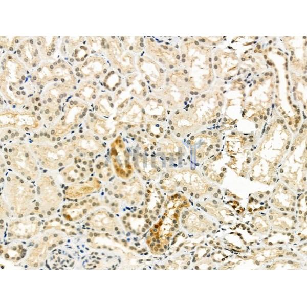 Валидация Affinity DF6267 - 17563