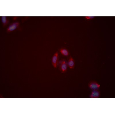 Валидация Affinity DF5000 - 16863