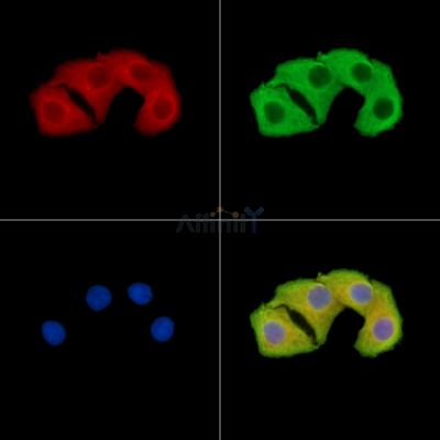 Валидация Affinity DF15364 - 11675