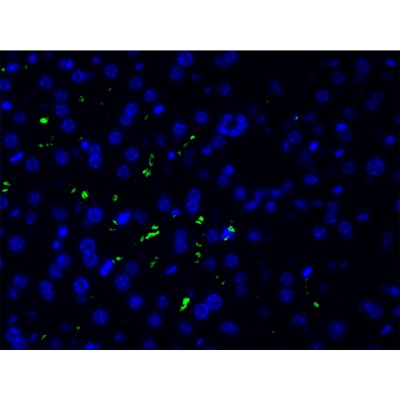 Валидация Affinity DF7450 - 19208