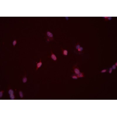 Валидация Affinity DF6257 - 17549