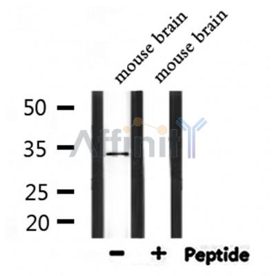 Валидация Affinity DF9743 - 22553