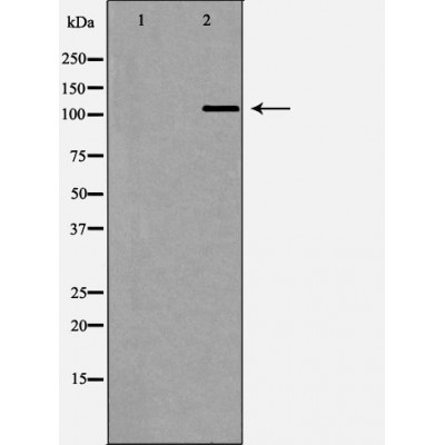 Валидация Affinity DF7452 - 19209