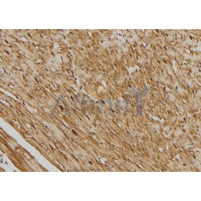 Валидация Affinity DF4350 - 15799