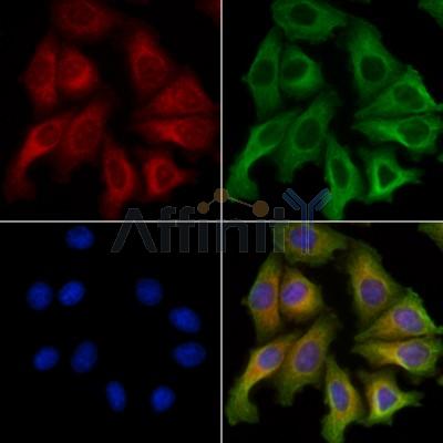 Валидация Affinity AF6488 - 3820