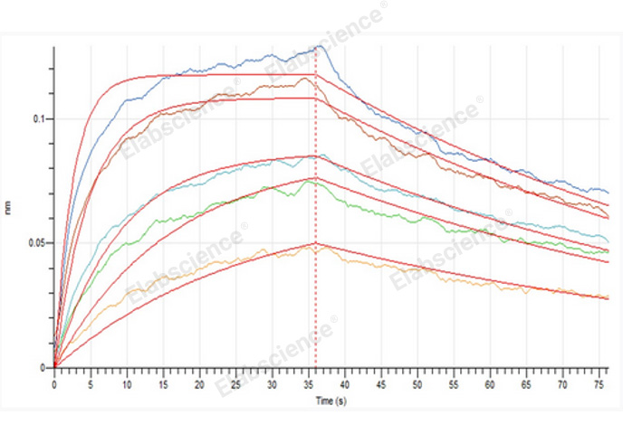 Валидация Elabscience PKSH033923(4152)