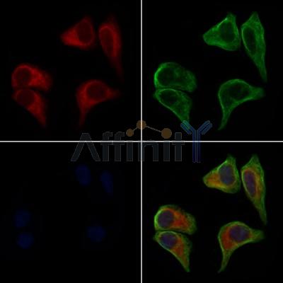 Валидация Affinity DF7017 - 18655