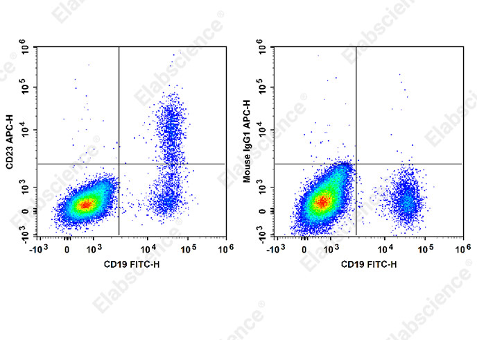 Валидация Elabscience E-AB-F1382E