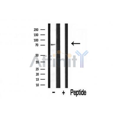 Валидация Affinity DF12094 - 6200