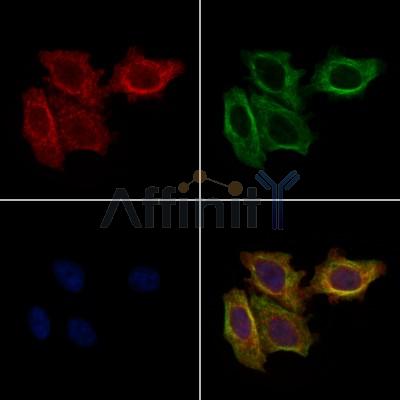 Валидация Affinity DF7325 - 19020