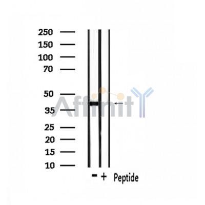 Валидация Affinity DF2844 - 13607