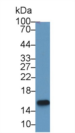 9469