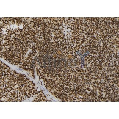 Валидация Affinity DF7562 - 19317