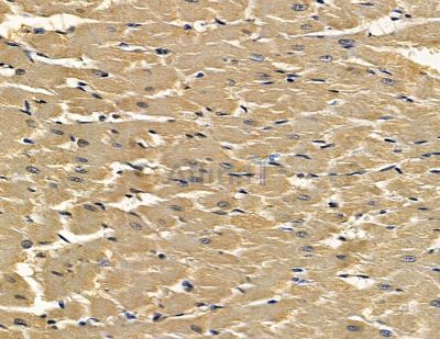 Валидация Affinity DF14046 - 9822