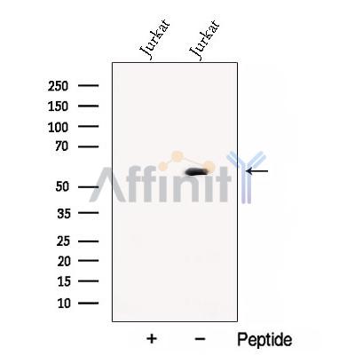 Валидация Affinity DF12902 - 7651