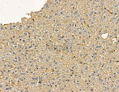 Валидация Affinity DF14099 - 9892