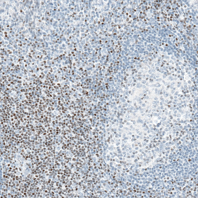 Валидация AssayVector ARM2679(5053)