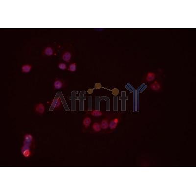 Валидация Affinity DF7199 - 18867