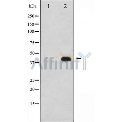 Валидация Affinity AF5411 - 3058