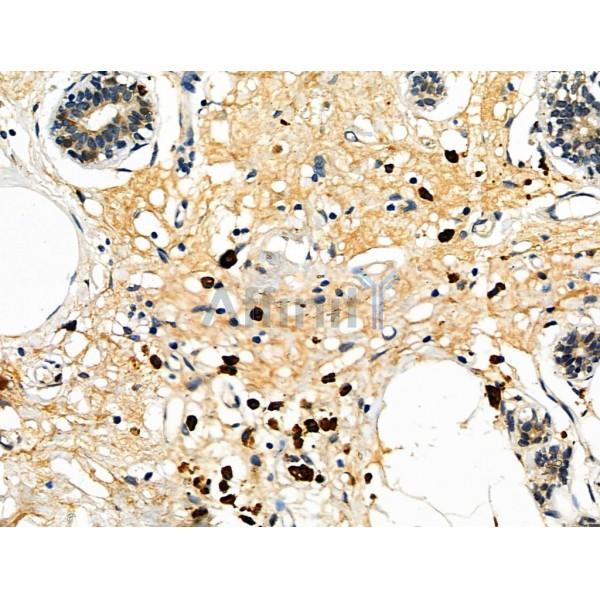 Валидация Affinity DF6330 - 17658