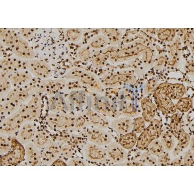 Валидация Affinity AF6156 - 3372