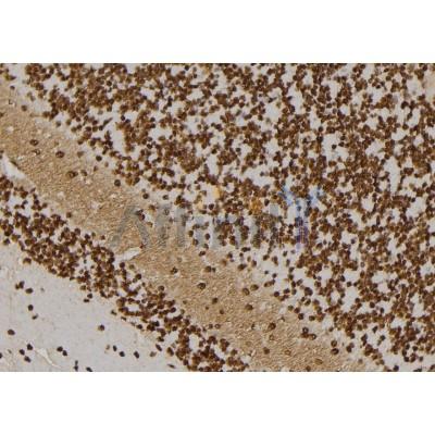 Валидация Affinity DF2402 - 12996