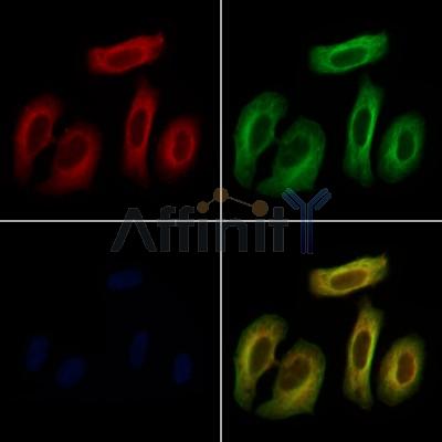 Валидация Affinity DF6453 - 17836