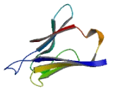 Pre-B-Lymphocyte Gene 3 (VPREB3) Pre-B-Lymphocyte Gene 3 (VPREB3)