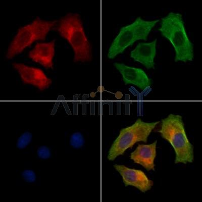 Валидация Affinity DF13034 - 7861