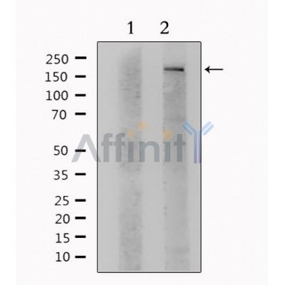 Валидация Affinity DF6476 - 17868