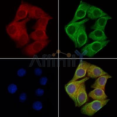 Валидация Affinity DF4913 - 16721