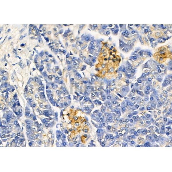 Валидация Affinity DF8726 - 20739