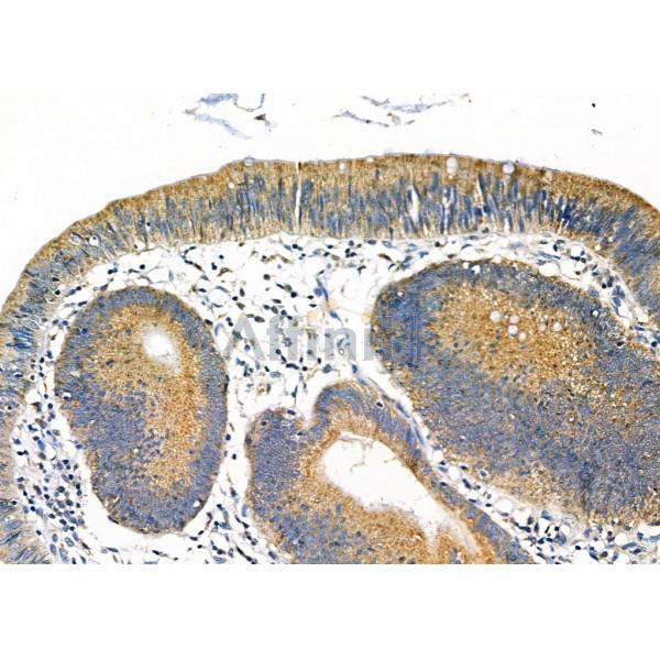 Валидация Affinity DF8935 - 21088