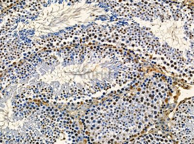 Валидация Affinity DF14104 - 9896