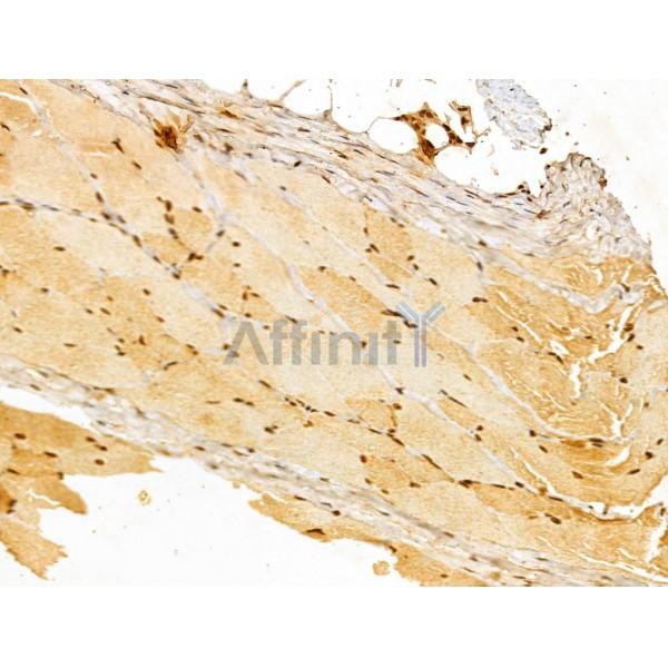 Валидация Affinity DF13015 - 7814