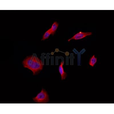 Валидация Affinity DF3745 - 14815